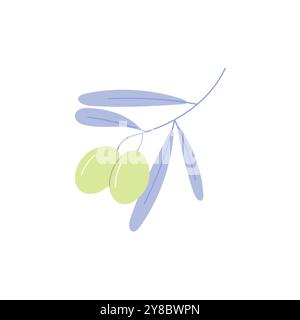 Branche d'olivier simple. Illustration vectorielle isolée. mignon Illustration de Vecteur