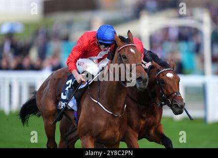 Russian Crescendo monté par Tom Marquand passe Fireblade monté par Kieran Shoemark sur leur chemin pour gagner les BetmMGM novice Stakes lors du BetMGM Autumn Racing Weekend à Ascot Racecourse, Berkshire. Date de la photo : vendredi 4 octobre 2024. Banque D'Images