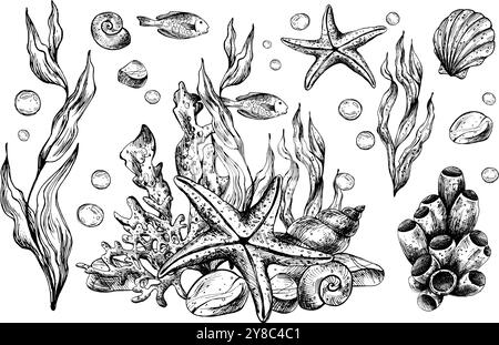 Clipart du monde sous-marin avec des animaux marins étoiles de mer, coquillages, corail et algues. Illustration graphique dessinée à la main à l'encre noire. Ensemble d'objets isolés Illustration de Vecteur