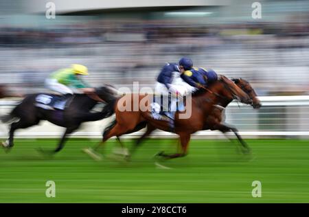 Holkham Bay monté par Oisin Murphy (à droite) sur leur chemin pour gagner le BetMGM handicap lors du BetMGM Autumn Racing Weekend à Ascot Racecourse, Berkshire. Date de la photo : vendredi 4 octobre 2024. Banque D'Images