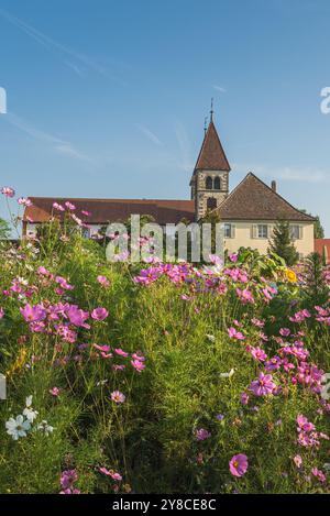 Église de Pierre et Paul avec prairie de fleurs au premier plan, île de Reichenau, Bade-Wuerttemberg, Allemagne Banque D'Images