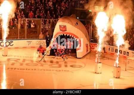 Eishockey DEL - 24/25 - 6. Spieltag : Kölner haie vs Straubing Tigers am 03.10.2024 im in der LANXESS Arena in Köln Einlauf der Kölner haie Foto : osnapix Banque D'Images