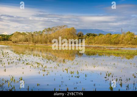 Étangs de Sils un matin d'automne (la Selva, Gérone, Catalogne, Espagne) ESP : Estanques de Sils en una mañana de otoño (la Selva, Gérone, Cataluña España) Banque D'Images