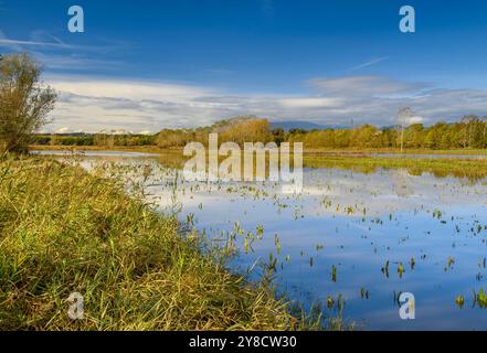 Étangs de Sils un matin d'automne (la Selva, Gérone, Catalogne, Espagne) ESP : Estanques de Sils en una mañana de otoño (la Selva, Gérone, Cataluña España) Banque D'Images