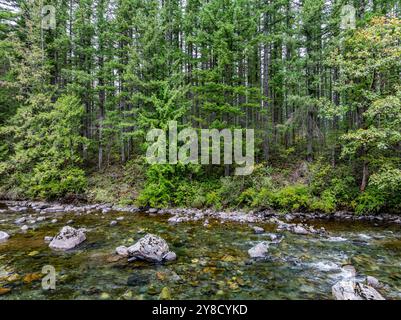 Vue de la rivière Snoqualmie depuis un drone à North Bend, Washington. Banque D'Images