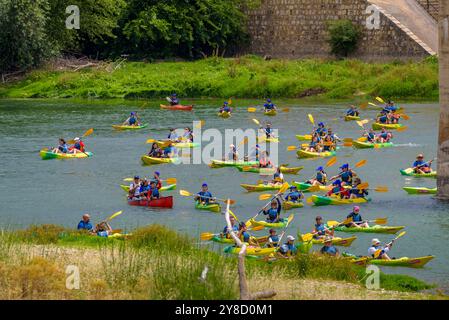 Kayaks sur l'Èbre sur la descente en kayak de la Plataforma en Defensa de l'Ebre arrivant à la ville de Tortosa (Tarragone, Catalogne, Espagne) Banque D'Images