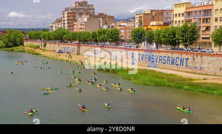 Kayaks sur l'Èbre sur la descente en kayak de la Plataforma en Defensa de l'Ebre arrivant à la ville de Tortosa (Tarragone, Catalogne, Espagne) Banque D'Images