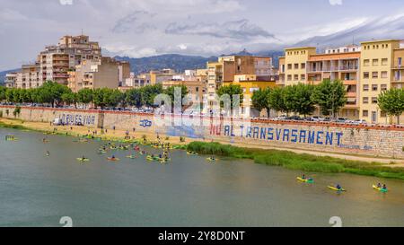 Kayaks sur l'Èbre sur la descente en kayak de la Plataforma en Defensa de l'Ebre arrivant à la ville de Tortosa (Tarragone, Catalogne, Espagne) Banque D'Images