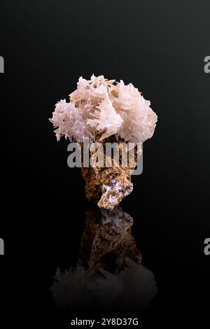 Cristallisation en treillis de cérussite. Spécimen de la mine de Nakhlak, district d'Anarak, comté de Nain, Ispahan, Iran. photographie isolée sur fond noir. Banque D'Images