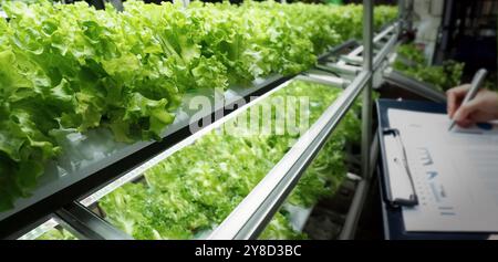 Ferme verticale intérieure ou culture maraîchère moderne qui utilisent la nouvelle technologie de semis des plantes sur la pile verticale. Ferme intérieure plantes hydroponiques poussant un Banque D'Images