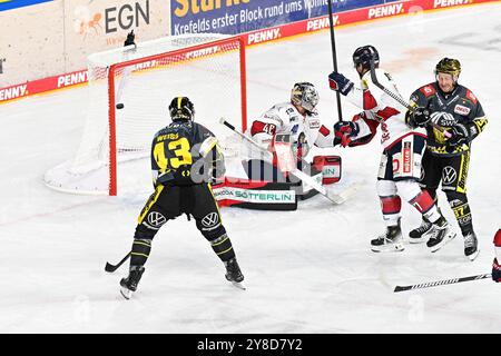 Eishockey DEL2 - 24/25 - 8. Spieltag : Krefeld Pinguine vs EHC Freiburg AM 04.10.2024 in der Yayla Arena in Krefeld Tor zum 1:1 Foto : osnapix Banque D'Images