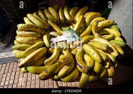 Bouquet de bananes mûres avec prix sur un marché local à Funchal Banque D'Images