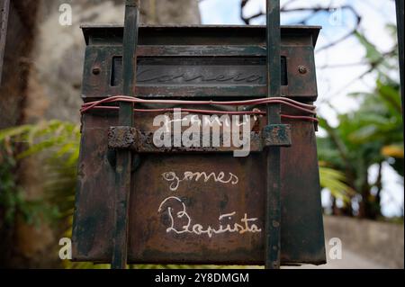 Boîte aux lettres familiale altérée avec des noms manuscrits, enveloppée de fil de fer, nichée dans une scène de jardin luxuriant Banque D'Images