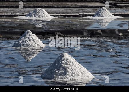 Production de sel, sel de mer par évaporation, usine de sel du Yémen, Tamarin, Océan Indien, île, Maurice, Afrique Banque D'Images