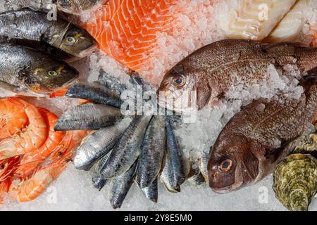 Fruits de mer frais magnifiquement et habilement disposés sur Ice pour une expérience culinaire délicieuse Banque D'Images