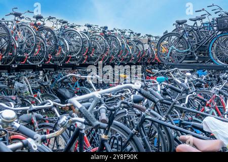 Pays-Bas. Une petite partie de l'immense parking à vélos à deux niveaux près de la gare centrale d'Amsterdam Banque D'Images