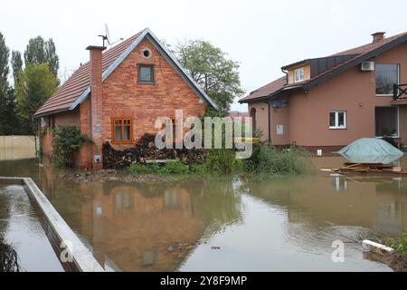 Karlovac, Croatie. 05 octobre 2024. Le niveau d'eau de la rivière Kupa à Karlovac a atteint 752 centimètres à 7 heures du matin, ce qui a conduit à la mise en œuvre de mesures d'urgence de protection contre les inondations. Le niveau d'eau maximal à Karlovac devrait dépasser 800 centimètres dans l'après-midi. Le village de Brodarica le long de la rivière Kupa a été inondé, les citoyens ont sauvé les animaux domestiques et les animaux domestiques de leurs maisons, Karlovac, village de Brodarica, 5 octobre. 2024 en Croatie photo : Kristina Stedul Fabac/PIXSELL crédit : Pixsell/Alamy Live News Banque D'Images