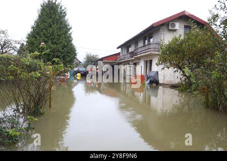 Karlovac, Croatie. 05 octobre 2024. Le niveau d'eau de la rivière Kupa à Karlovac a atteint 752 centimètres à 7 heures du matin, ce qui a conduit à la mise en œuvre de mesures d'urgence de protection contre les inondations. Le niveau d'eau maximal à Karlovac devrait dépasser 800 centimètres dans l'après-midi. Le village de Brodarica le long de la rivière Kupa a été inondé, les citoyens ont sauvé les animaux domestiques et les animaux domestiques de leurs maisons, Karlovac, village de Brodarica, 5 octobre. 2024 en Croatie photo : Kristina Stedul Fabac/PIXSELL crédit : Pixsell/Alamy Live News Banque D'Images