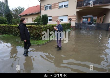 Karlovac, Croatie. 05 octobre 2024. Le niveau d'eau de la rivière Kupa à Karlovac a atteint 752 centimètres à 7 heures du matin, ce qui a conduit à la mise en œuvre de mesures d'urgence de protection contre les inondations. Le niveau d'eau maximal à Karlovac devrait dépasser 800 centimètres dans l'après-midi. Le village de Brodarica le long de la rivière Kupa a été inondé, les citoyens ont sauvé les animaux domestiques et les animaux domestiques de leurs maisons, Karlovac, village de Brodarica, 5 octobre. 2024 en Croatie photo : Kristina Stedul Fabac/PIXSELL crédit : Pixsell/Alamy Live News Banque D'Images