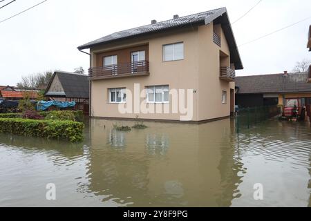 Karlovac, Croatie. 05 octobre 2024. Le niveau d'eau de la rivière Kupa à Karlovac a atteint 752 centimètres à 7 heures du matin, ce qui a conduit à la mise en œuvre de mesures d'urgence de protection contre les inondations. Le niveau d'eau maximal à Karlovac devrait dépasser 800 centimètres dans l'après-midi. Le village de Brodarica le long de la rivière Kupa a été inondé, les citoyens ont sauvé les animaux domestiques et les animaux domestiques de leurs maisons, Karlovac, village de Brodarica, 5 octobre. 2024 en Croatie photo : Kristina Stedul Fabac/PIXSELL crédit : Pixsell/Alamy Live News Banque D'Images