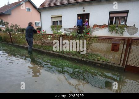 Karlovac, Croatie. 05 octobre 2024. Le niveau d'eau de la rivière Kupa à Karlovac a atteint 752 centimètres à 7 heures du matin, ce qui a conduit à la mise en œuvre de mesures d'urgence de protection contre les inondations. Le niveau d'eau maximal à Karlovac devrait dépasser 800 centimètres dans l'après-midi. Le village de Brodarica le long de la rivière Kupa a été inondé, les citoyens ont sauvé les animaux domestiques et les animaux domestiques de leurs maisons, Karlovac, village de Brodarica, 5 octobre. 2024 en Croatie photo : Kristina Stedul Fabac/PIXSELL crédit : Pixsell/Alamy Live News Banque D'Images