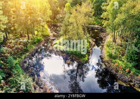 Voler haut au-dessus d'une forêt verdoyante en allemagne. Une petite rivière serpente à travers le paysage. Reflétant la lumière du soleil et le ciel dans sa douce Wate Banque D'Images