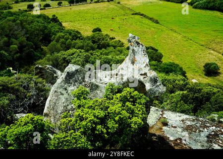 Le tombeau des géants de Monte S’Ajacciu parmi les rochers de granit. Arzachena, Sardaigne, Italie Banque D'Images