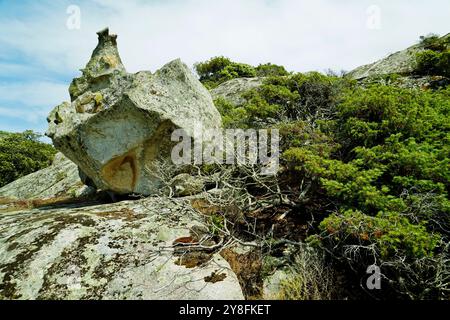 Le tombeau des géants de Monte S’Ajacciu parmi les rochers de granit. Arzachena, Sardaigne, Italie Banque D'Images