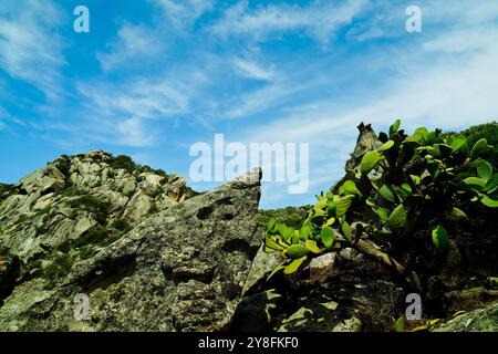 Le tombeau des géants de Monte S’Ajacciu parmi les rochers de granit. Arzachena, Sardaigne, Italie Banque D'Images