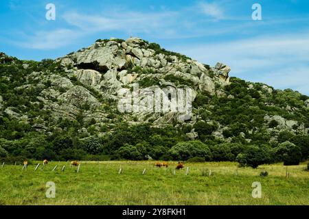 Le tombeau des géants de Monte S’Ajacciu parmi les rochers de granit. Arzachena, Sardaigne, Italie Banque D'Images