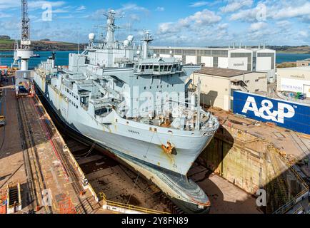 Le RFA Argus (A135) est le navire de réception des accidents du Royaume-Uni et est exploité par la Royal Fleet Auxiliary (RFA) Banque D'Images