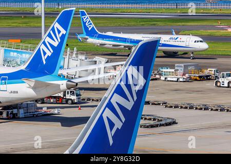 Tokyo, Japon - 6 octobre 2023 : queues de tous les avions ANA Nippon Airways à l'aéroport de Tokyo Haneda (HND) au Japon. Banque D'Images