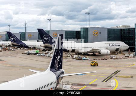 Francfort, Allemagne - 16 juin 2024 : avions Lufthansa à l'aéroport de Francfort (FRA) en Allemagne. Banque D'Images