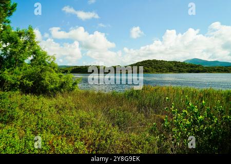 Lac de Baratz, Alghero, Stintino, Province de Sassari, Sardaigne, Italie Banque D'Images