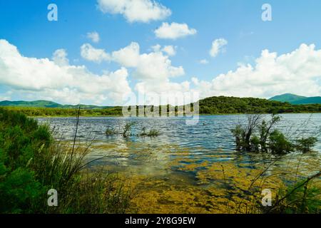 Lac de Baratz, Alghero, Stintino, Province de Sassari, Sardaigne, Italie Banque D'Images