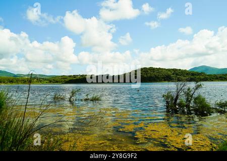 Lac de Baratz, Alghero, Stintino, Province de Sassari, Sardaigne, Italie Banque D'Images