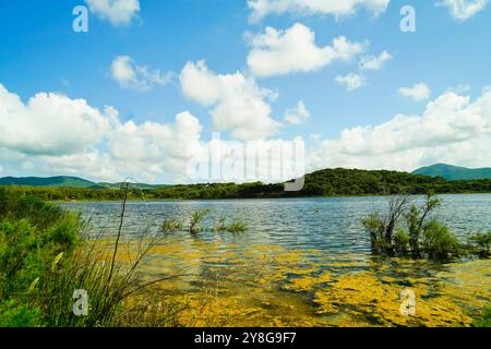 Lac de Baratz, Alghero, Stintino, Province de Sassari, Sardaigne, Italie Banque D'Images