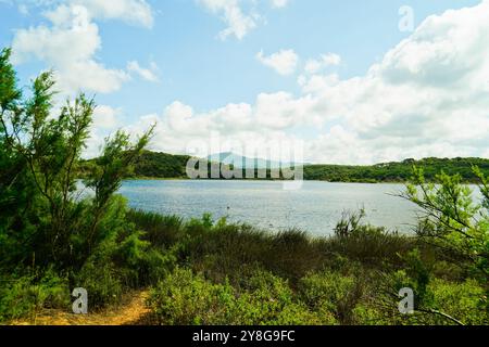 Lac de Baratz, Alghero, Stintino, Province de Sassari, Sardaigne, Italie Banque D'Images