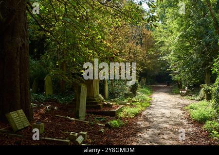 Tombes et sentier à Abney Park, Stoke Newington, Londres Royaume-Uni, en automne Banque D'Images