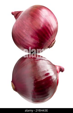 Vue de dessus de l'oignon rouge ou violet est isolé sur fond blanc avec chemin de détourage. Banque D'Images