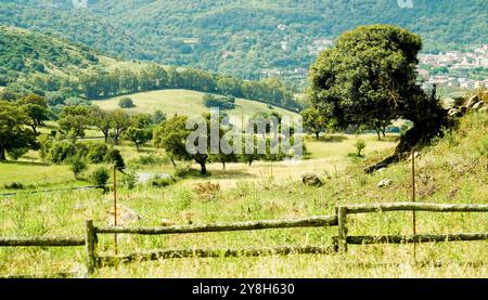 Paysage nuragique dans la région de Goceano, province de Sassari, Sardaigne, Italie Banque D'Images