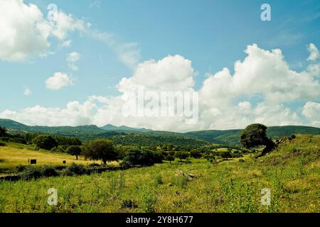 Paysage nuragique dans la région de Goceano, province de Sassari, Sardaigne, Italie Banque D'Images