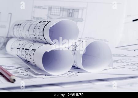Plan de construction. Dessin de schéma enroulé dans un rouleau. Planification de la rénovation de la maison.. Banque D'Images