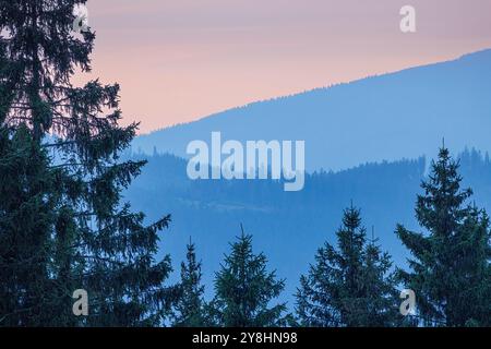 Arbres à la frontière de la Tchéquie et de la Slovaquie, Slovaquie Banque D'Images