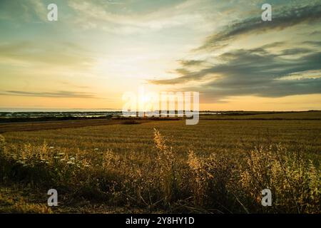 Coucher de soleil sur les collines de la péninsule de Sinis, Oristano, Sardaigne, Italie Banque D'Images