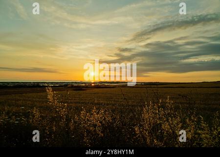 Coucher de soleil sur les collines de la péninsule de Sinis, Oristano, Sardaigne, Italie Banque D'Images