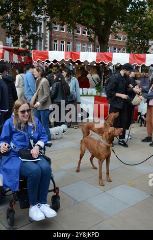 Chelsea Dog Day 5 octobre 2024 Banque D'Images