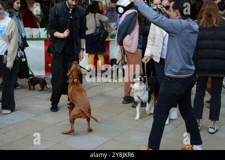 Chelsea Dog Day 5 octobre 2024 Banque D'Images