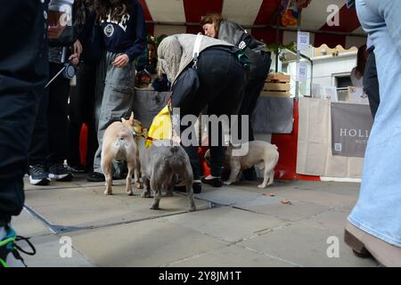 Chelsea Dog Day 5 octobre 2024 Banque D'Images