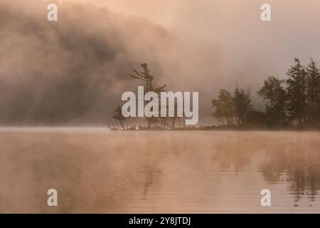 Les arbres sur une pointe de terre émergent de la brume tôt le matin sur le lac Ouimet près du mont. Tremblant Québec Banque D'Images